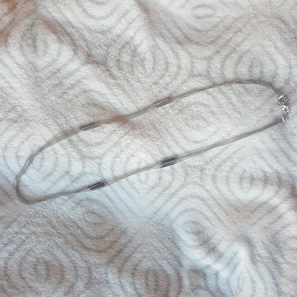 Banana Republic Necklace | Silver